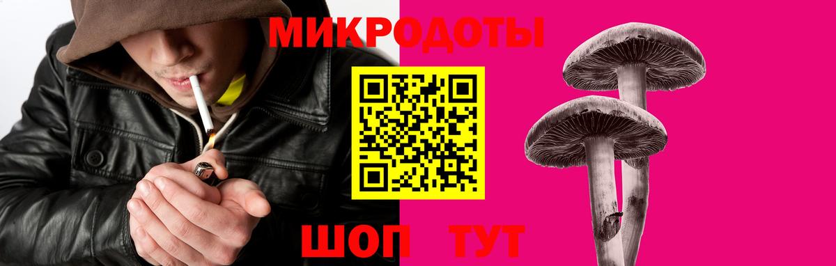 Галлюциногенные грибы Psilocybine cubensis  Вход с VPN  Псилоцибиновые грибы Cubensis  Пермь 